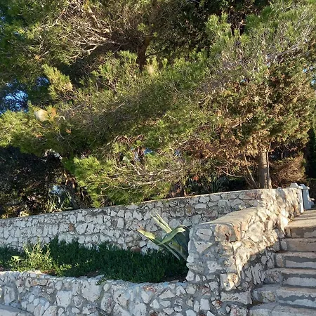 Guest house Mirjana *